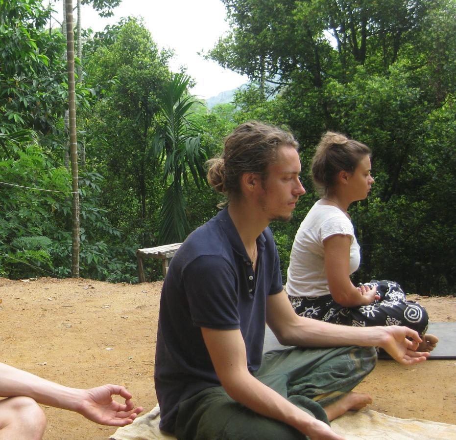 Spiritual Nature Farm - Sri Lanka Matale Exterior foto
