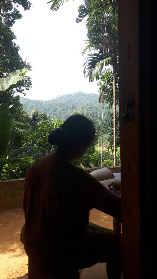 Spiritual Nature Farm - Sri Lanka Matale Exterior foto